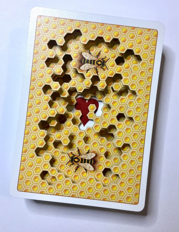 35972421_1862781597131425_7302766544457564160_o.jpg