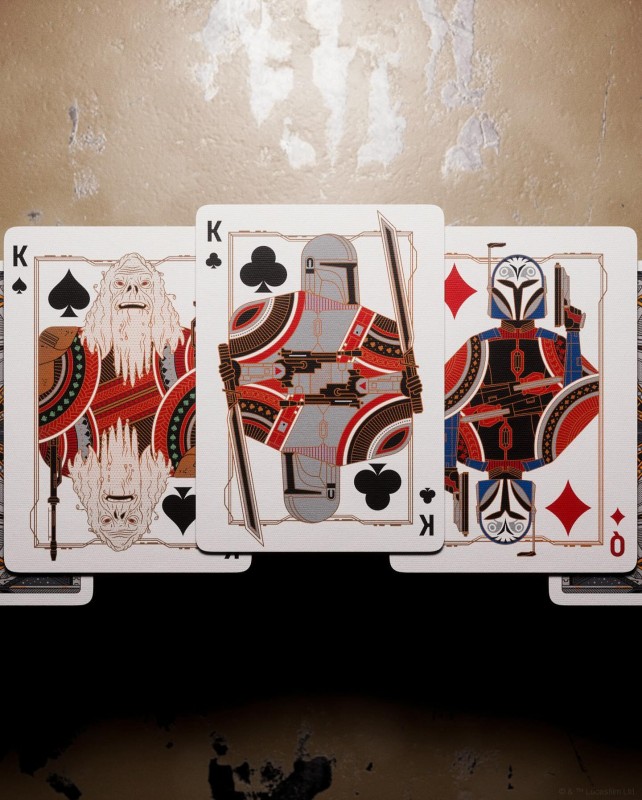 383993025_192090697237533_3926368428015584066_n.jpg