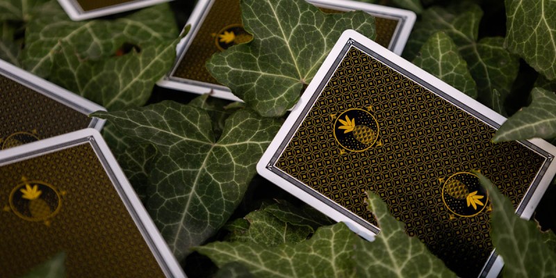 pina-deck-2.jpg