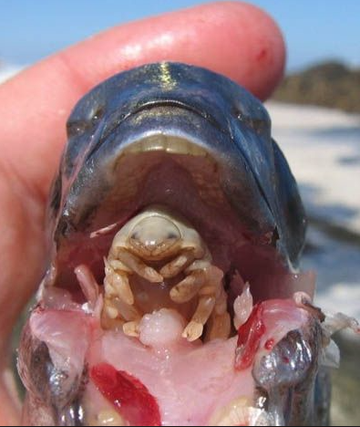 Screen Shot 2015-04-17 at 9.03.46 PM.png